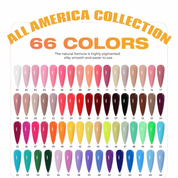 All America Collection - Image 2