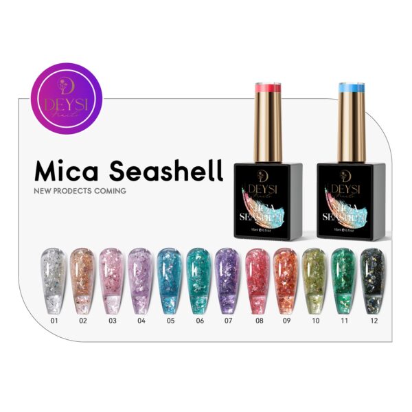 Mica Seashell Collection - Image 2